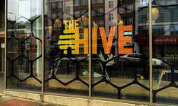 Printed Window Vinyl Display for Axis for The Hive, London