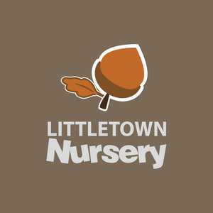 Littletown Primary School Print design