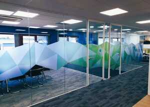 Custom Printed Etched Vinyl for Internal Offices
