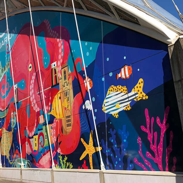 Large, Full-Colour Printed Window Graphics For Artwork and Bold Branding Recreation