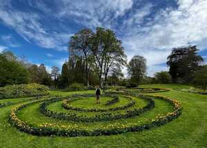Installations & Production Manager Enjoying The Flower Ring at Forde Abbey Gardens