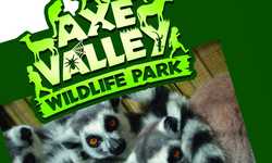Signage Design for Axe Valley Wildlife Park Signage Design for Axe Valley Wildlife Park