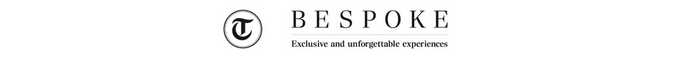 The Telegraph Bespoke Banner Logo