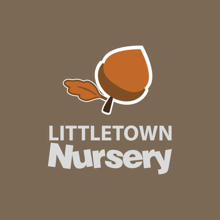 Littletown Primary School Print design