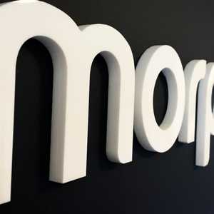 Raised Lettering Signage for Morphsites