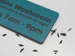 ACM Sign Rounded Edges Cut ACM Sign Rounded Edges Cut