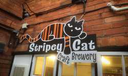 Signage for The Stripey Cat Craft Brewery, Bridport