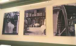 Wall Prints for Palmers Brewery Wall Prints for Palmers Brewery