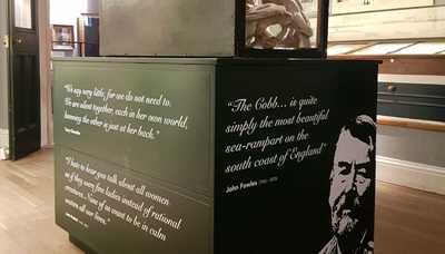 Display Branding Lyme Regis Museum