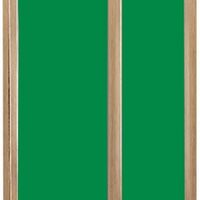 BEECH A1024x1024 GREEN.jpg