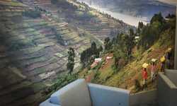 Custom Printed Wallpaper for Tearfund Custom Printed Wallpaper for Tearfund