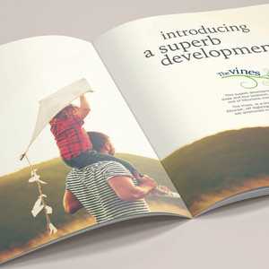 The Vines, Plymouth Design Mockup