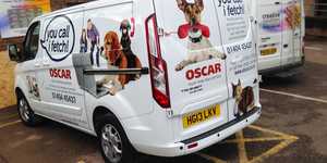 Dogs & Pets Design Cut Vinyl Van Graphics