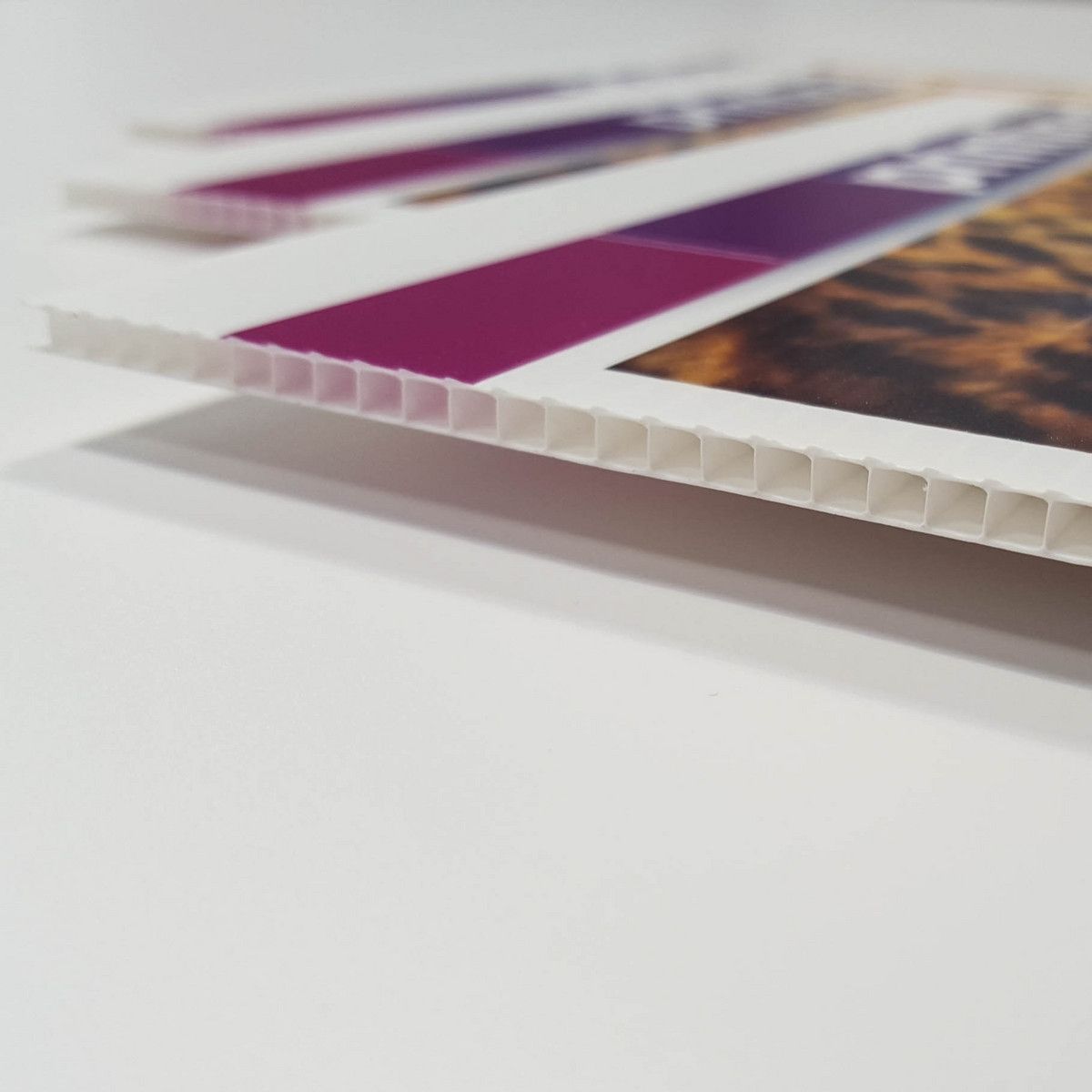 Printed Correx Board Estate Agent Signage