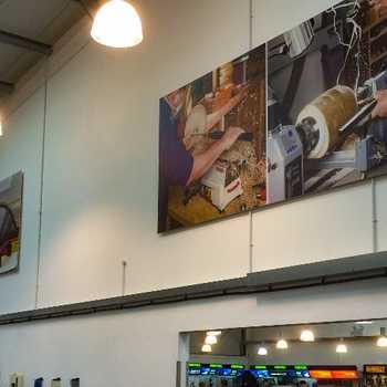 Wall Mounted Printed Foamex