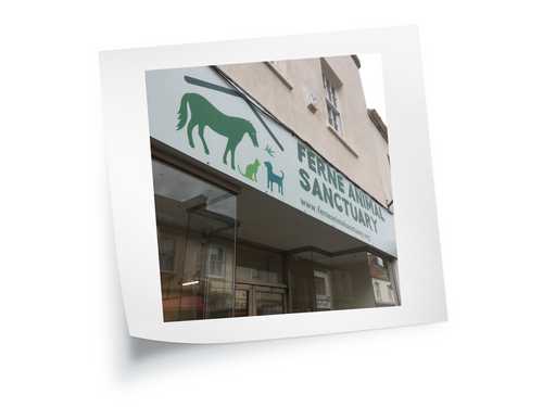 Shop Fascia Signage for Ferne Animal Sanctuary