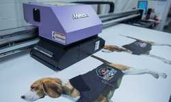 Red Bull Fox Hunt: Event Display Direct Printed Beagles Red Bull Fox Hunt: Event Display Direct Printed Beagles