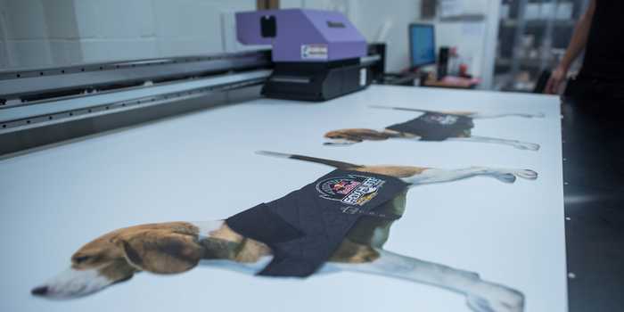 Direct Printing Red Bull Beagles at Creative Solutions
