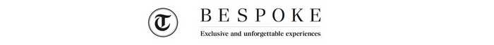 Telegraph Bespoke Banner Logo