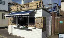 Branding and Sign Design for Herbies