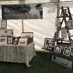 Festival Design Alix Coleby