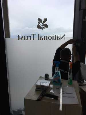 Window Graphics Installation