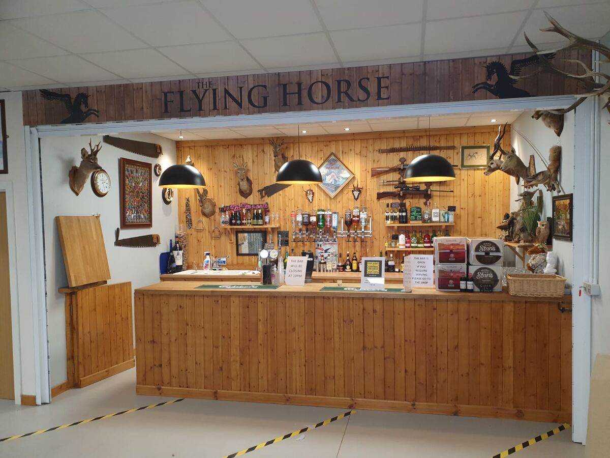 Flying Horse - Finished