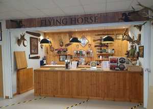 Flying Horse - Finished