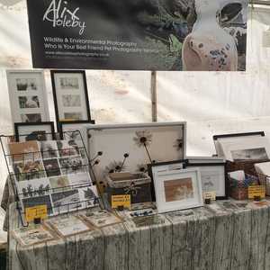 Exhibition Stand Design