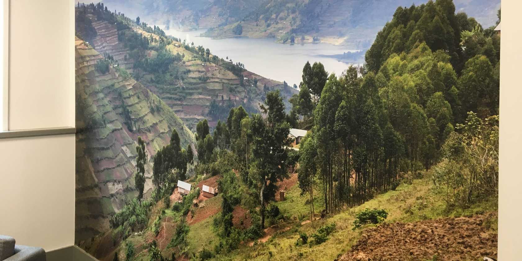 Customised Wallpaper by Creative Solutions