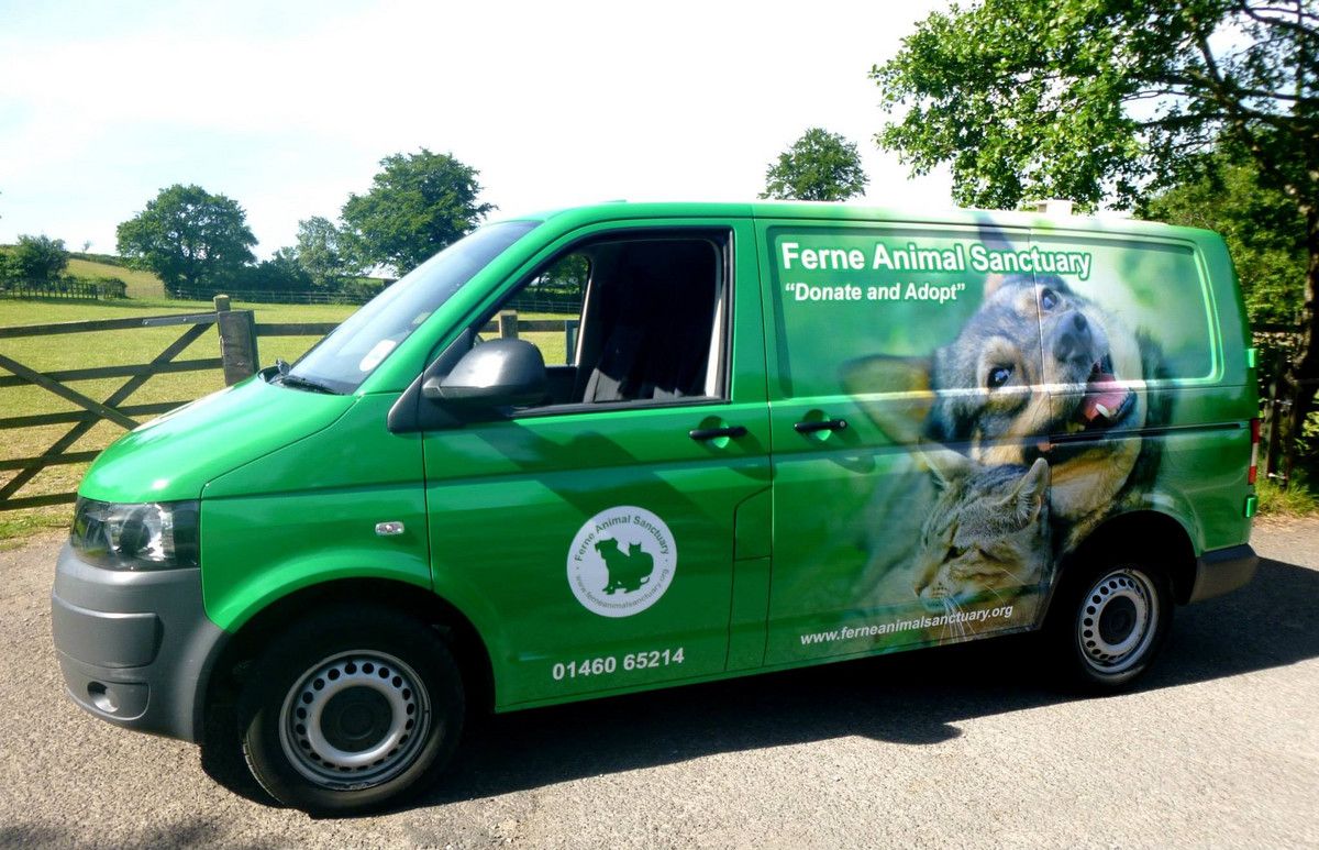 Ferne Animal Sanctuary.jpg