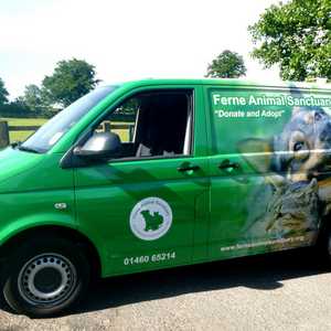 Vehicle Wrapping Ferne Animal Sanctuary