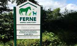 Post Mounted Aluminium Signs for Ferne Animal Sanctuary