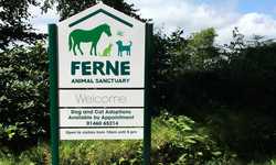 Post Mounted Aluminium Signs for Ferne Animal Sanctuary Post Mounted Aluminium Signs for Ferne Animal Sanctuary