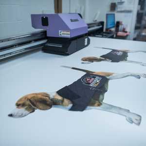 Red Bull Direct Print