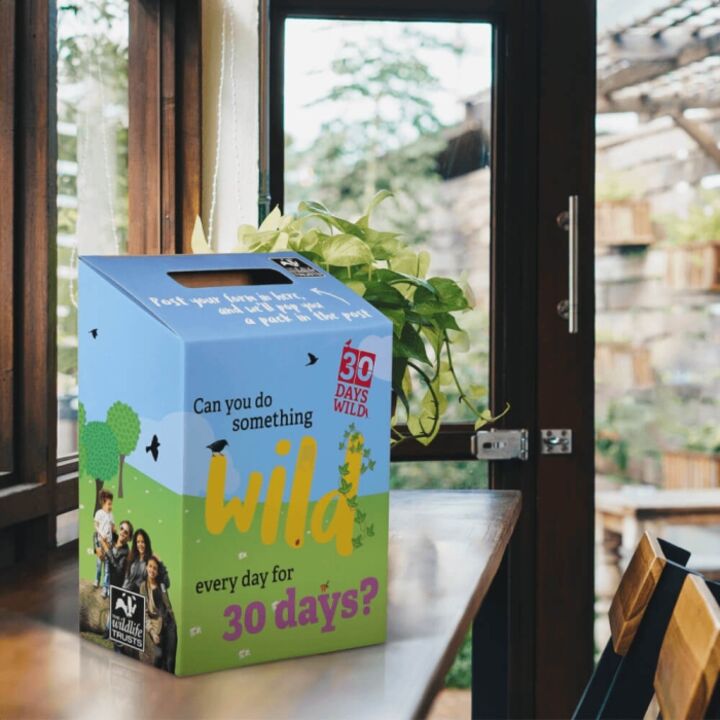 Branded Cardboard Suggestion Box.jpg