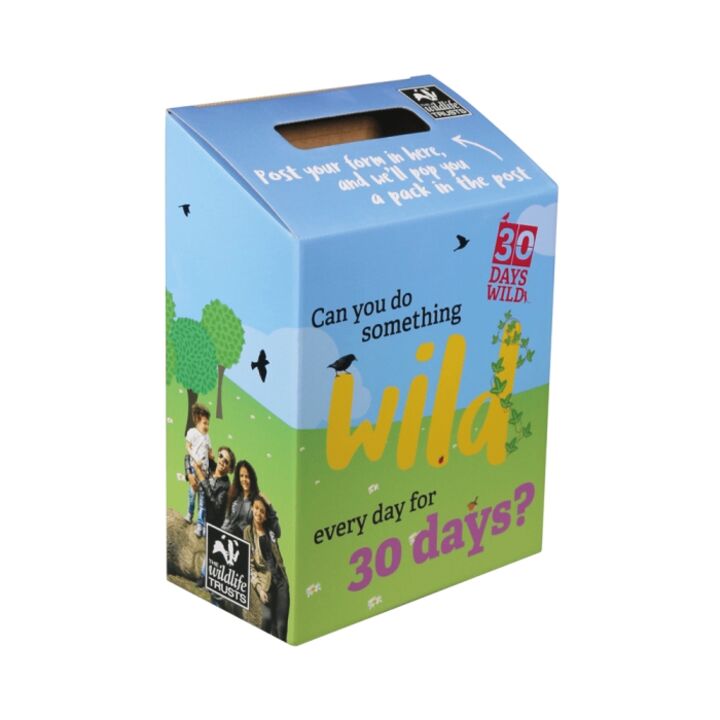 Branded feedback box.png