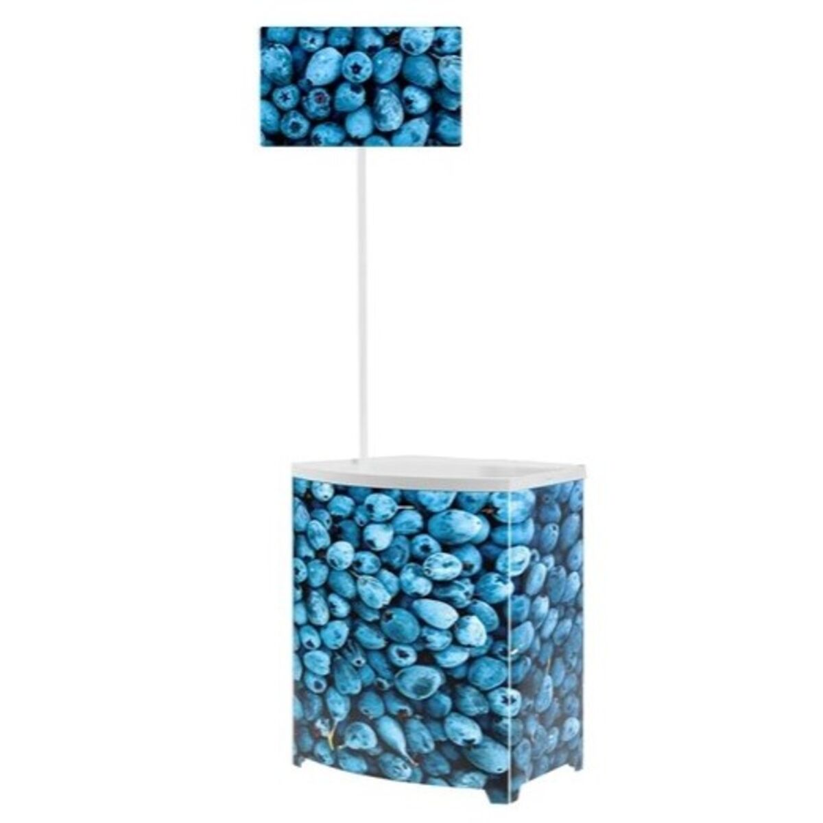 Budget Demonstration Counter.jpg