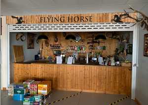 Flying Horse - Concept