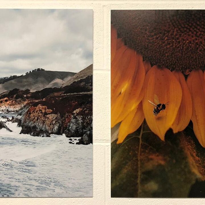 Printed Triaprint Wall Mounted Display