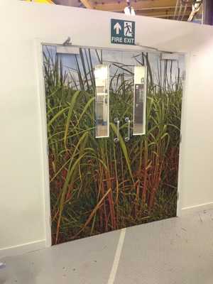 Door Self Adhesive Mounted