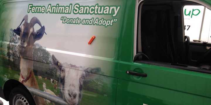 Van Wrapping