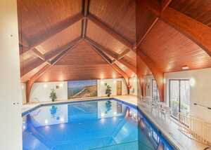 Wall graphics of an indoor swimming pool with a wooden ceiling and large windows.