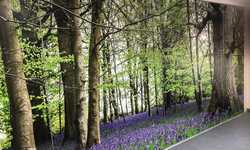 Custom Printed Interior Wallpaper Custom Printed Interior Wallpaper