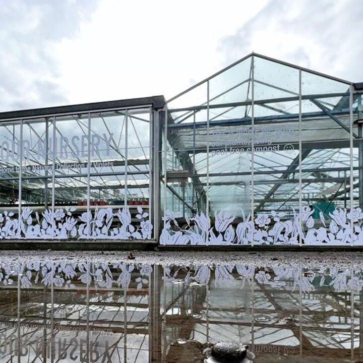 Floral Decorative Window Graphic Decals For Grove Nurseries.jpg