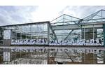Floral Decorative Window Graphic Decals For Grove Nurseries.jpg