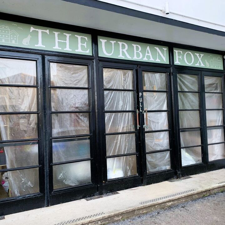 Full Colour Block Out Window Graphics - Shop Branding for The Urban Fox in Lyme Regis 1.jpg