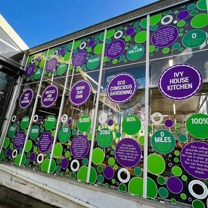 Full-Colour Printed PVC-Free Window Graphics.jpg