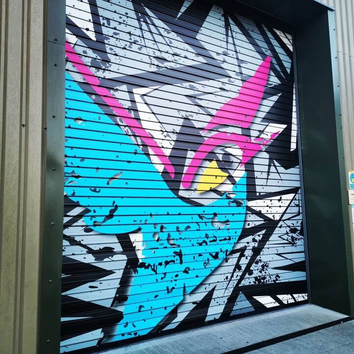 Garage Door - Rolling Door - Vinyl Wrap Door for Creative Solutions.jpg