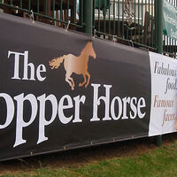 Heavy Duty 550gsm Vinyl Banner Printing for Race Course.jpg